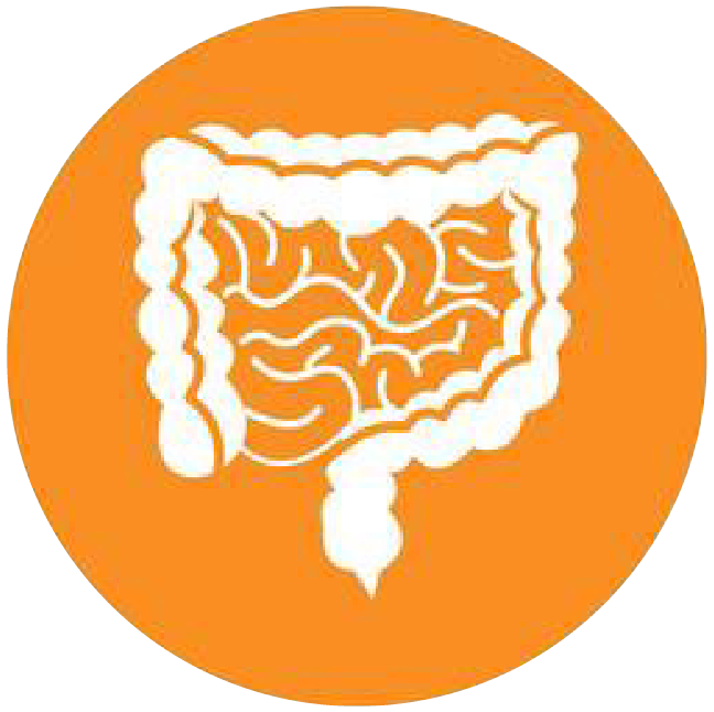 關(guān)注職場“腸”態(tài)，守護(hù)員工健康——上海格瑞特特邀消化內(nèi)科專家公益系列講座（4）(圖4)